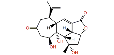 Dissectolide A